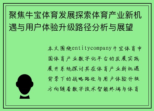 聚焦牛宝体育发展探索体育产业新机遇与用户体验升级路径分析与展望